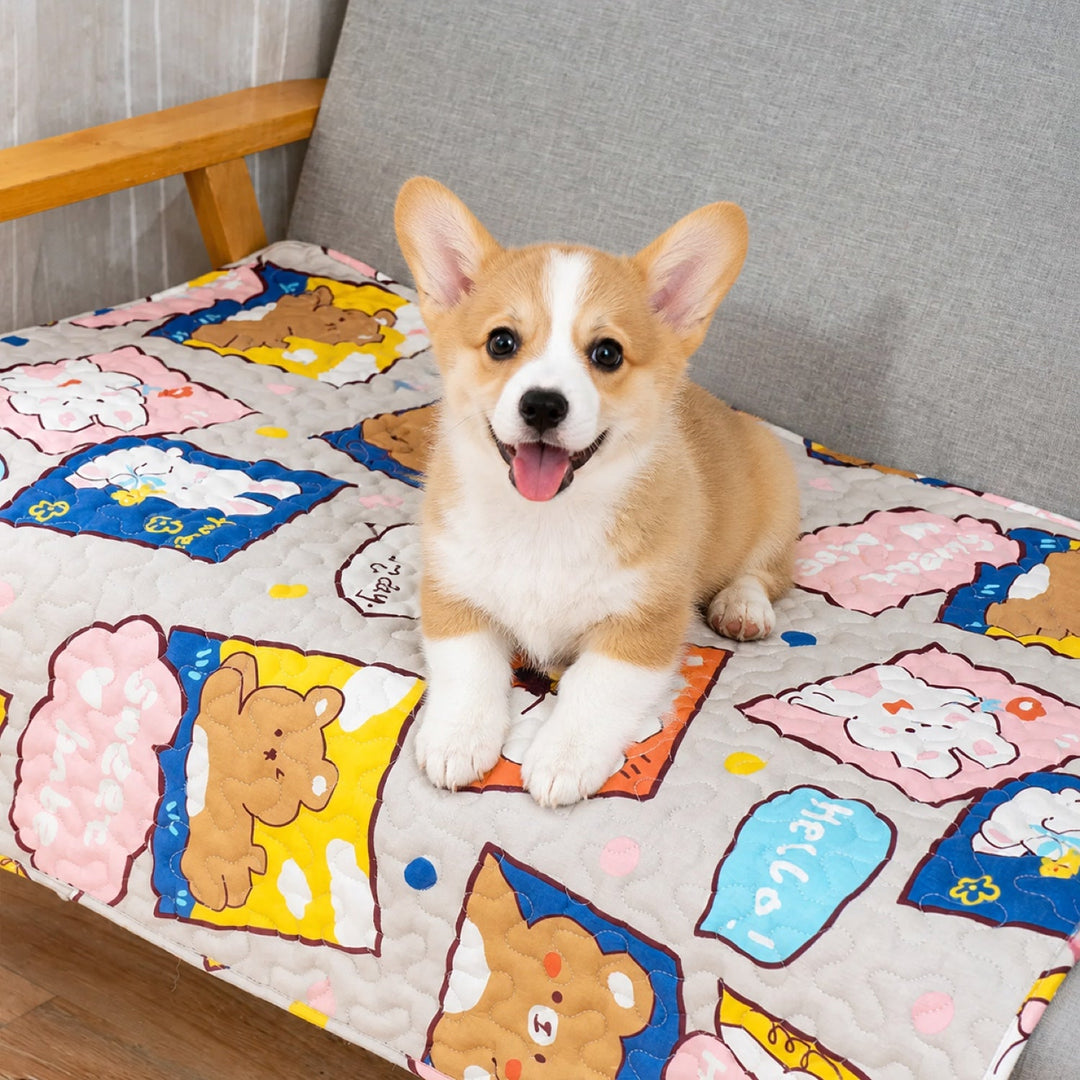 Washable Dog Bed & Cat Bed | Anywhere Quilted Pet Mat | Non-Slip Base