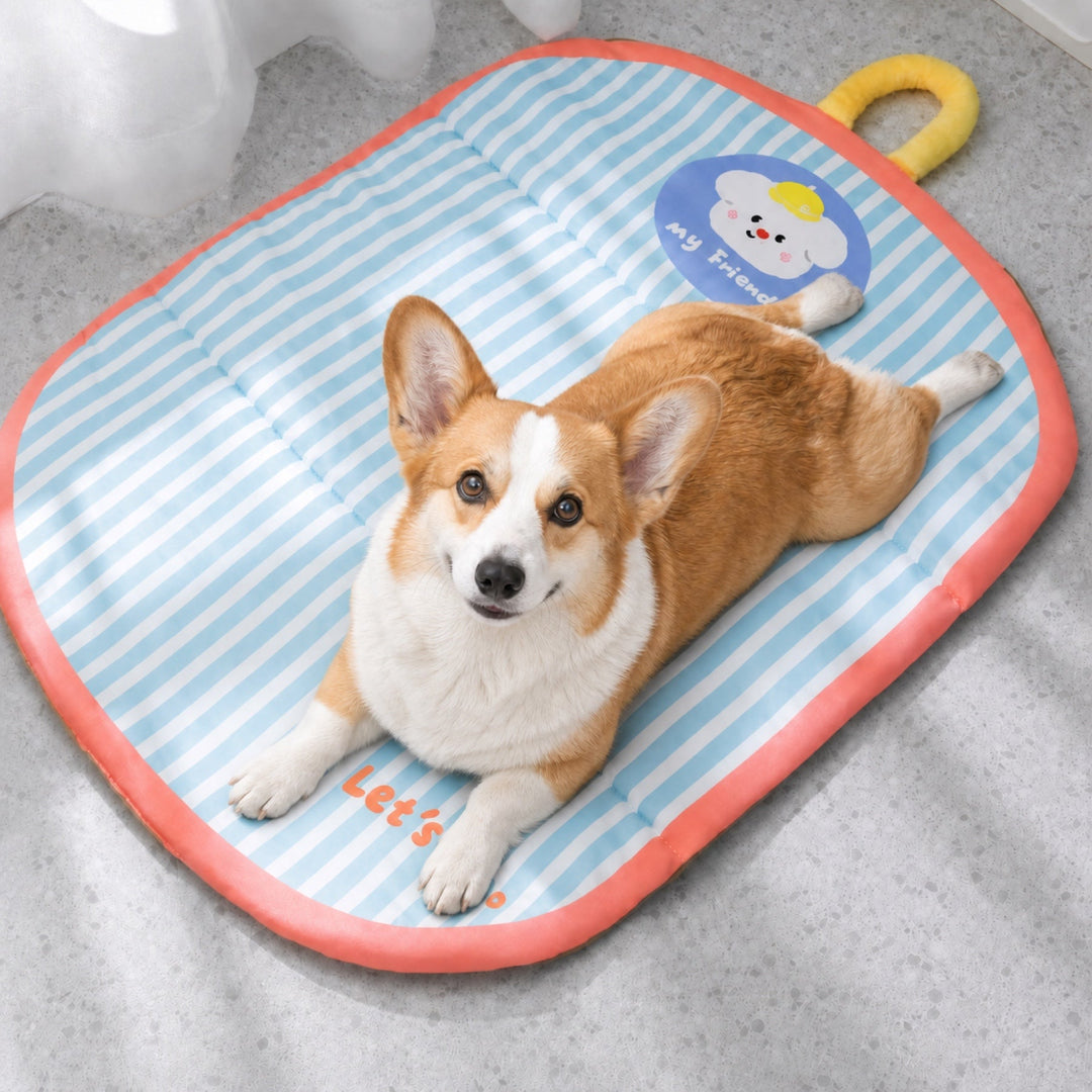 Waterproof Dog Bed & Cat Bed | Foldable Air-Skin Pet Mat | Machine Washable