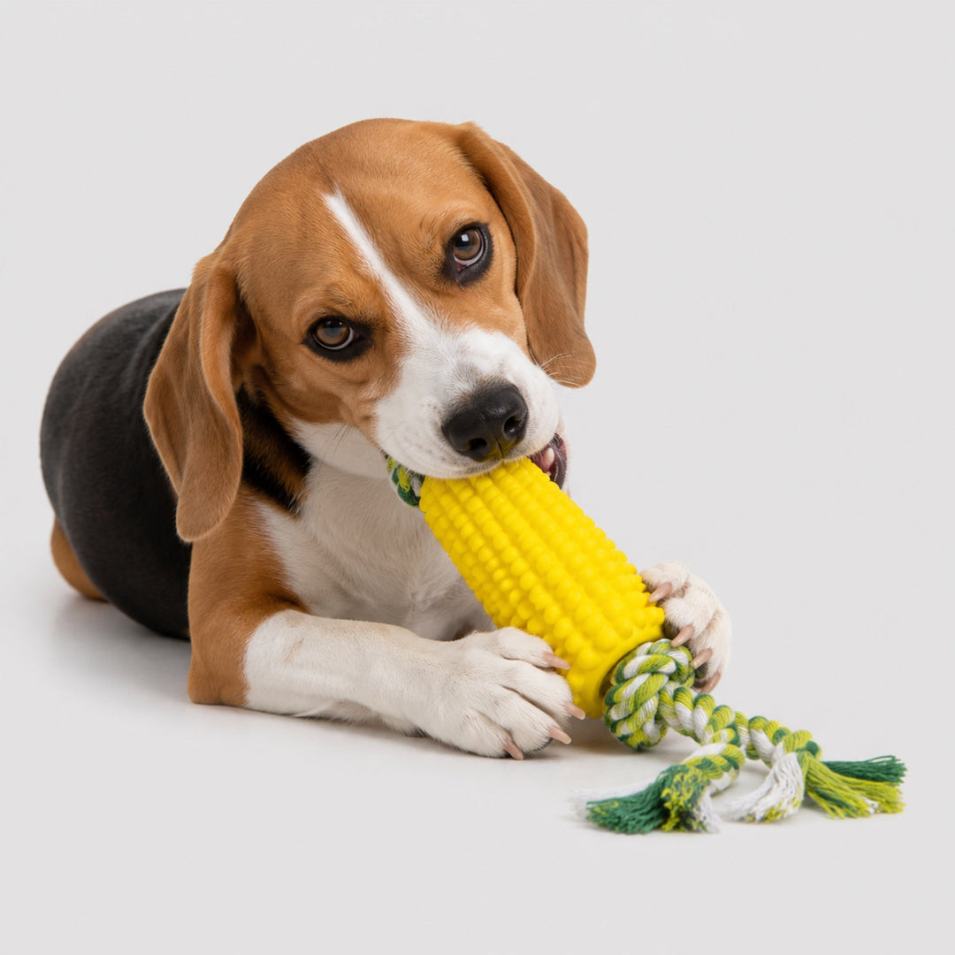 Corn Dog Chew Toy | Squeaky Dental Toothbrush with Rope
