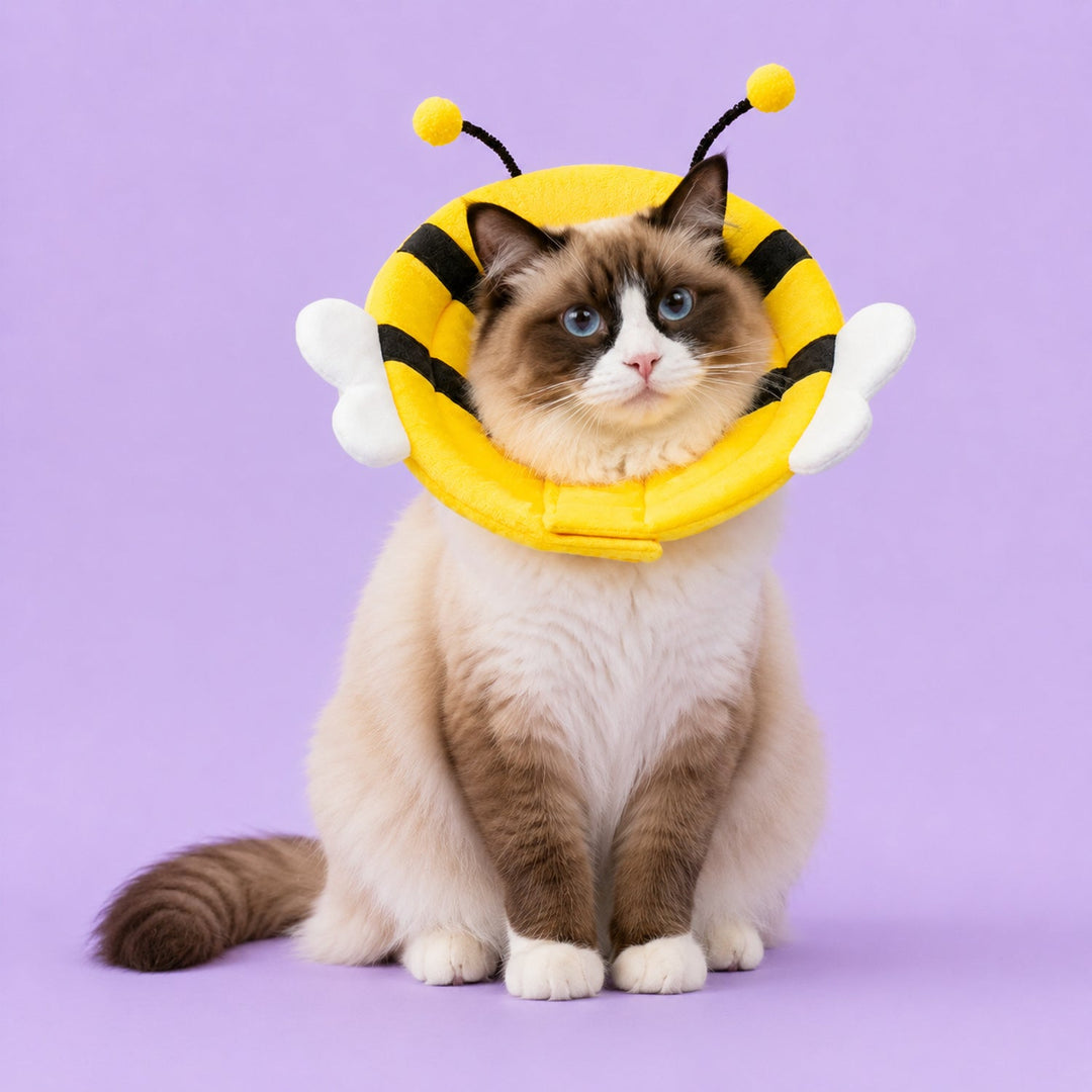 Happy Critter Pet Recovery Collar | Adjustable Padded Cone for Cats & Dogs