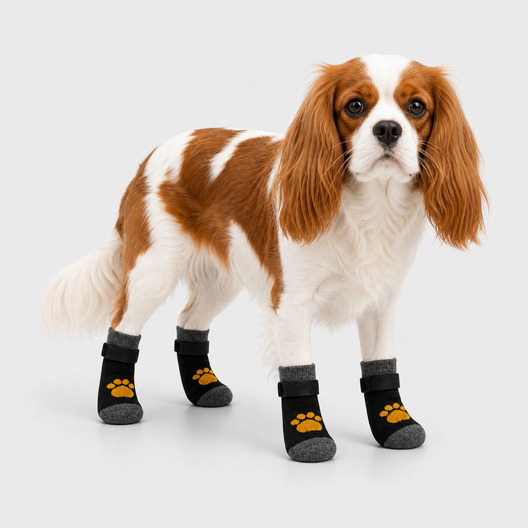Dog Anti-Slip Socks | Knitted Breathable Fabric | Rubber Grip Indoor Paw Protectors | Sizes S–L