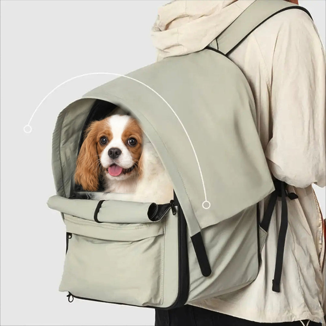 Expandable Cat Carrier Backpack | Breathable Travel Bag with Sunshade