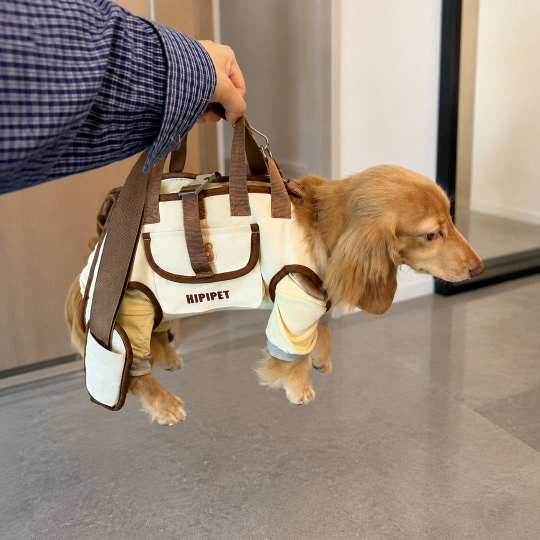 Small Dog Carrier Harness | Hand, Shoulder & Walking Modes | Waterproof Oxford