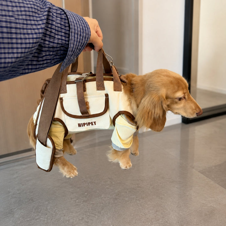 Small Dog Carrier Harness | Hand, Shoulder & Walking Modes | Waterproof Oxford