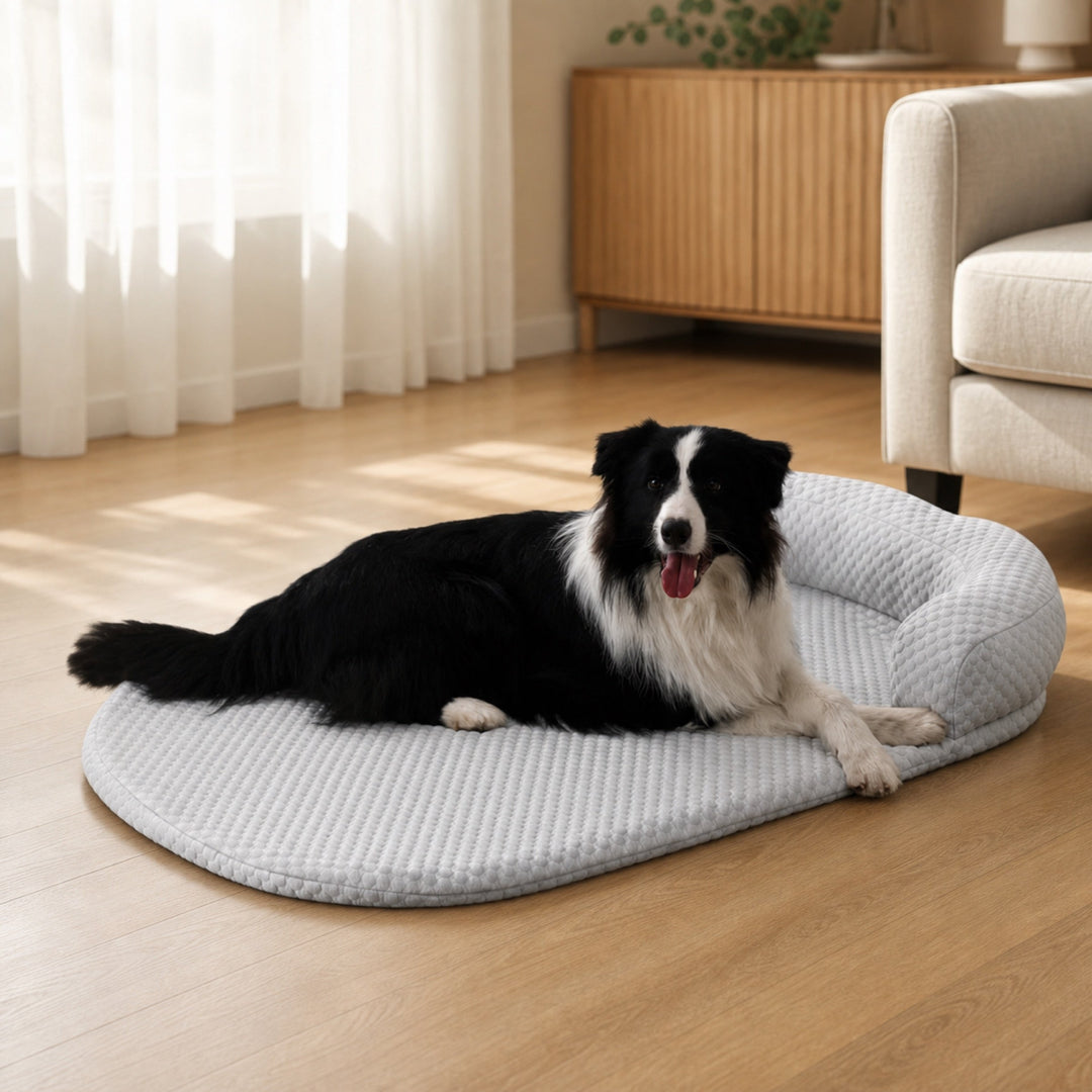 Dog Bed & Cat Bed | Cooling Ice Silk Foam Pad | Machine-Washable & Cushioned