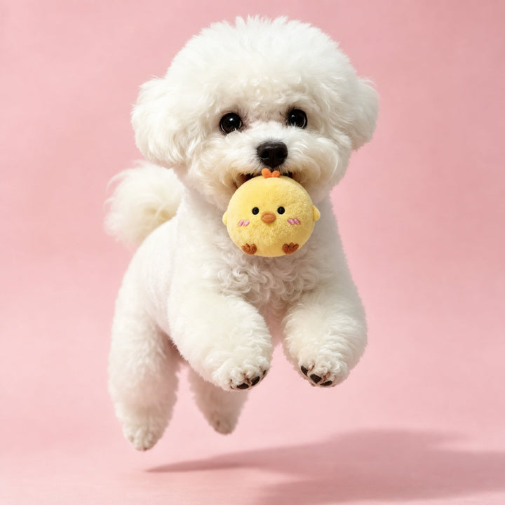 Farm Friends Squeaky Dog Toy Set | Washable Plush Teething Balls
