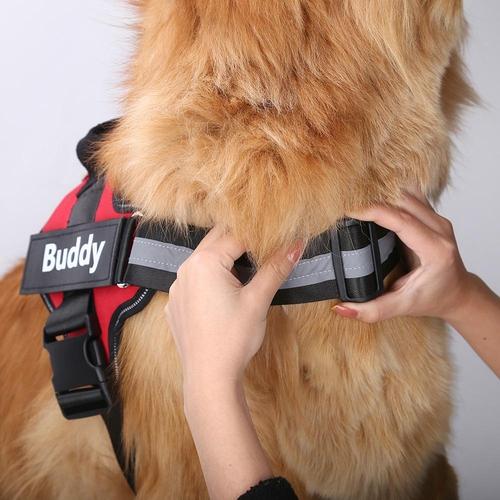 No Pull Dog Harness | Breathable Vest | Reflective Design | Adjustable Fit for Small to Large Dogs