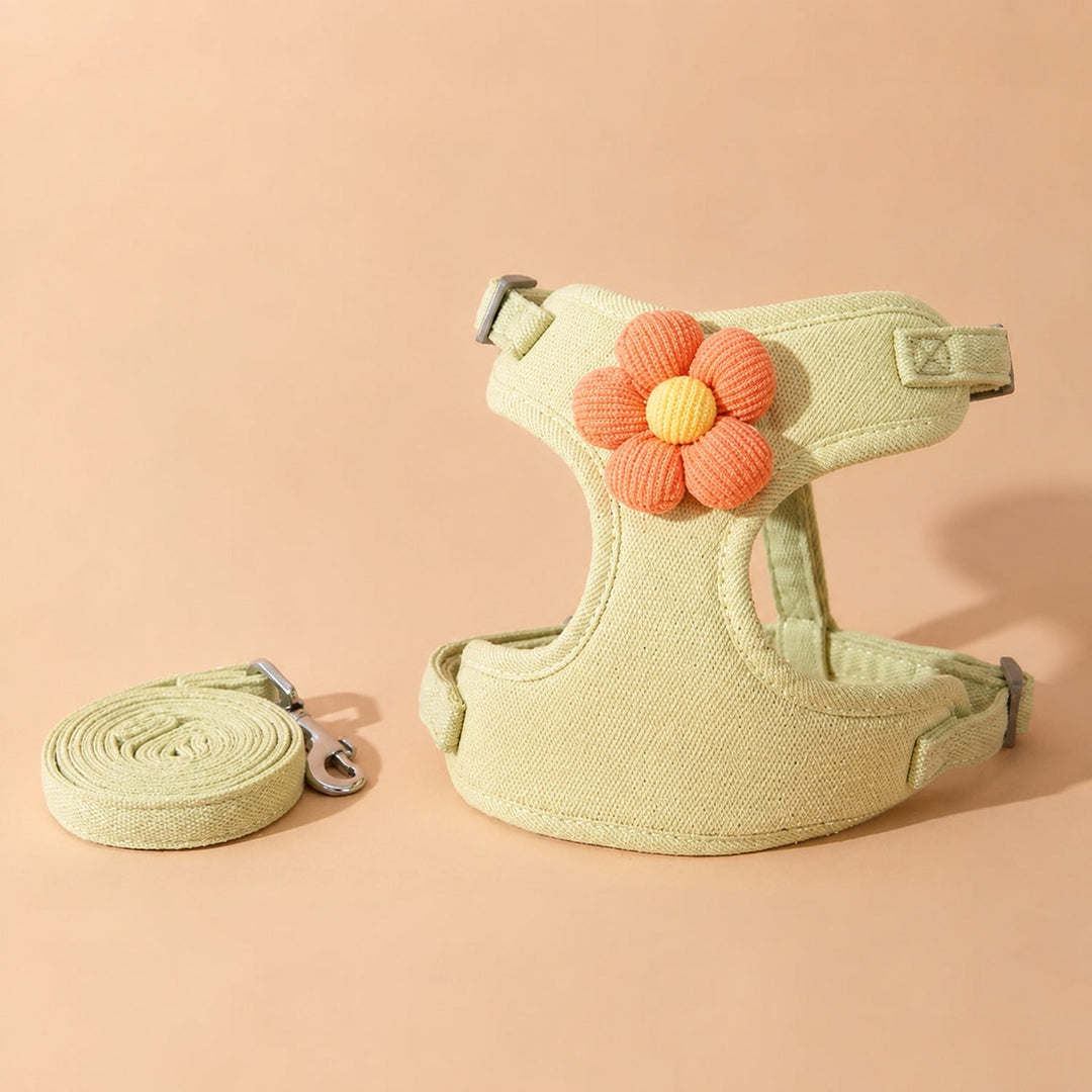 Daisy Dog Harness & Lead Set | Breathable Mesh | Adjustable Anti-Escape Fit