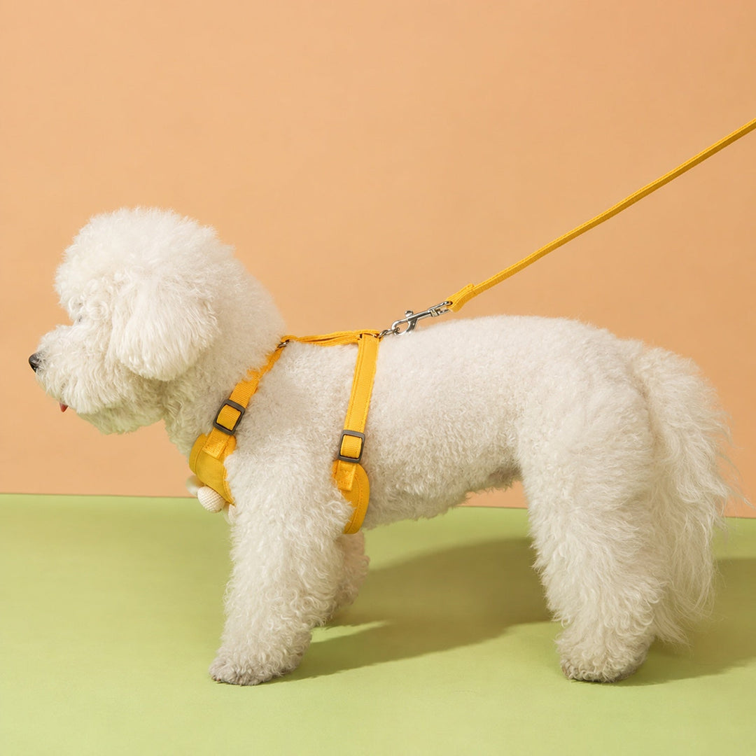 Daisy Dog Harness & Lead Set | Breathable Mesh | Adjustable Anti-Escape Fit