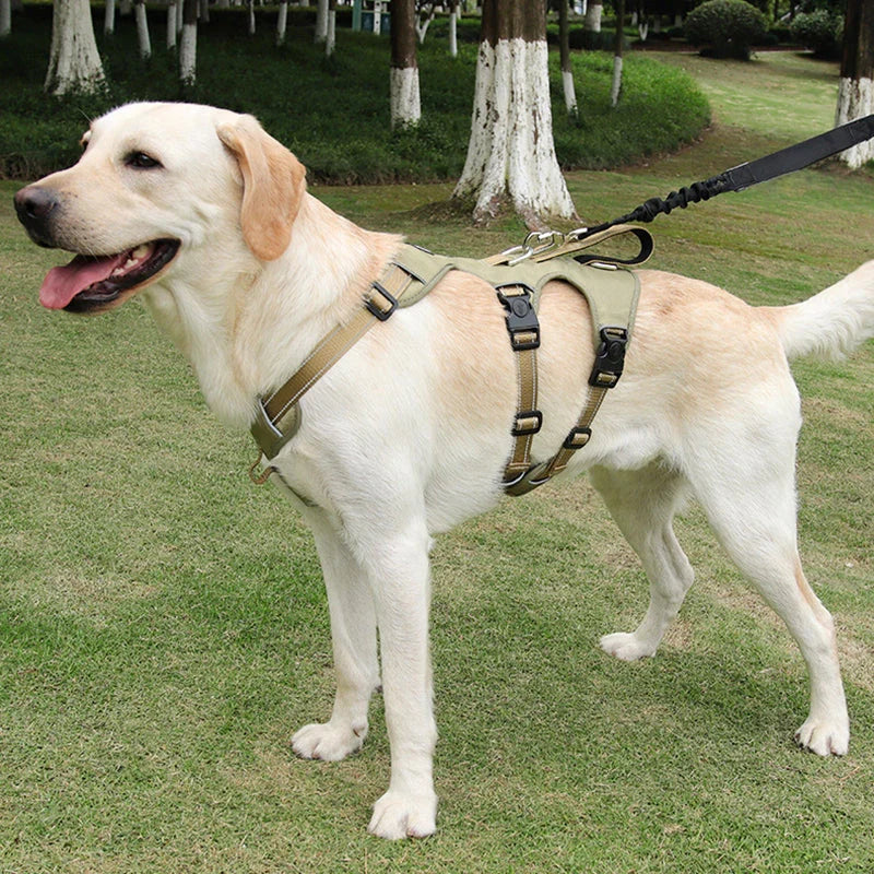 Reflective Anti-Pull Dog Harness – GripGuard Comfort