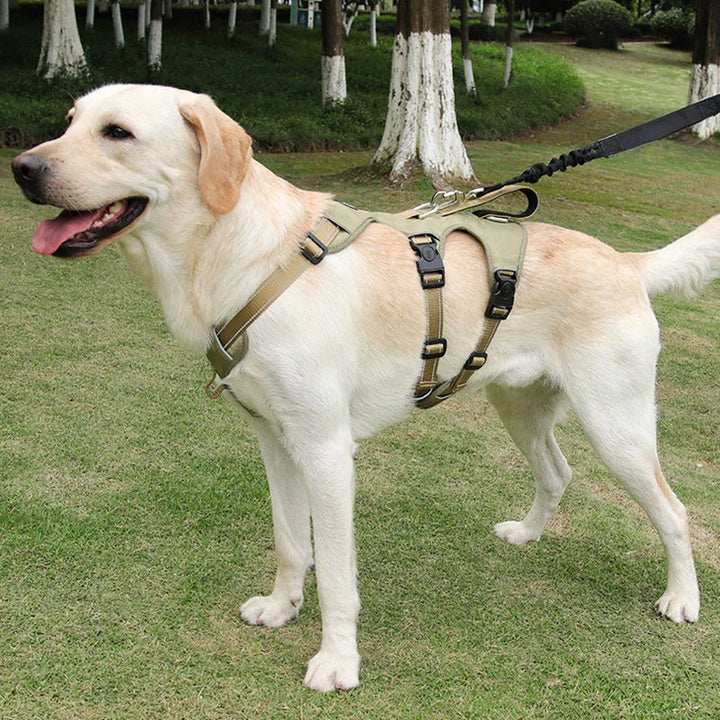Reflective Anti-Pull Dog Harness – GripGuard Comfort