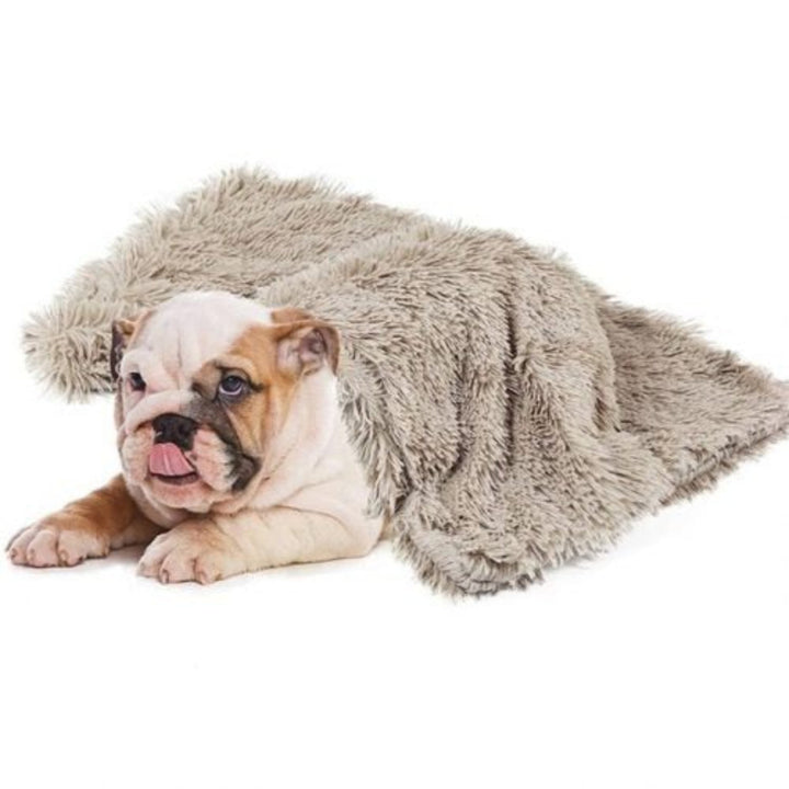 Comfy Dog Blanket – Soft & Warm Pet Blanket for Dogs