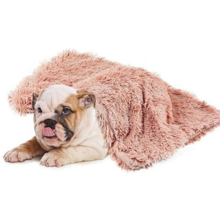 Comfy Dog Blanket – Soft & Warm Pet Blanket for Dogs