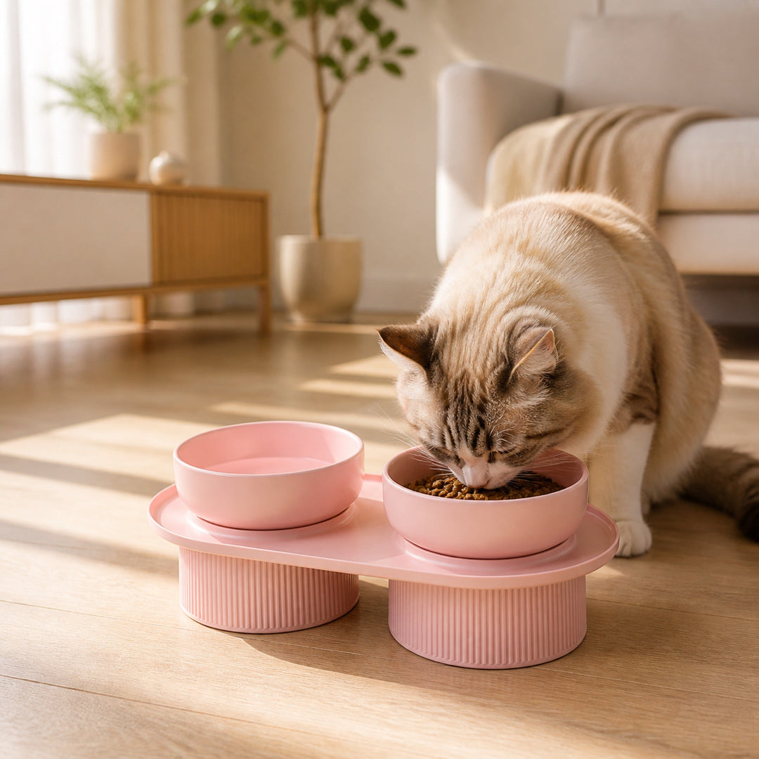 Elevated Ceramic Pet Bowl | Raised Cat & Dog Feeding Stand
