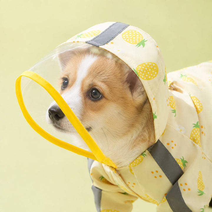 Fruit Print Dog Raincoat | Waterproof Polyester | Full-Coverage Reflective Design