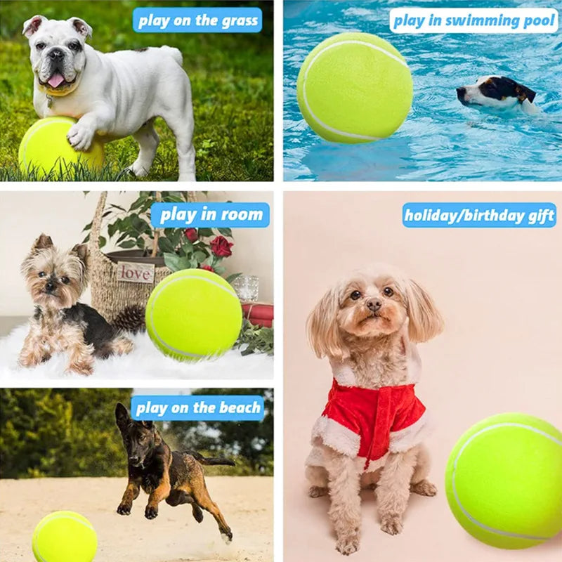 Giant Tennis Ball For Dogs