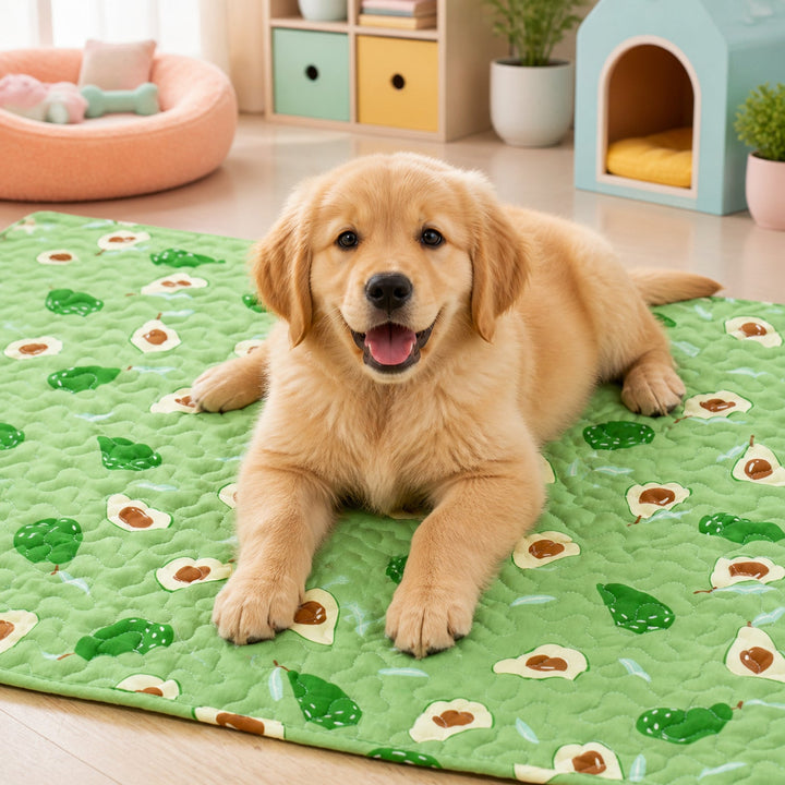 Washable Dog Bed & Cat Bed | Anywhere Quilted Pet Mat | Non-Slip Base