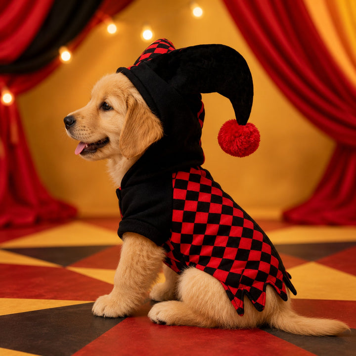 Jester Pet Costume | Red & Black Halloween Fancy Dress for Cats & Small Dogs