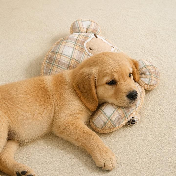 Dog Blanket & Cat Blanket | Reversible Plush with Pillow | Machine Washable