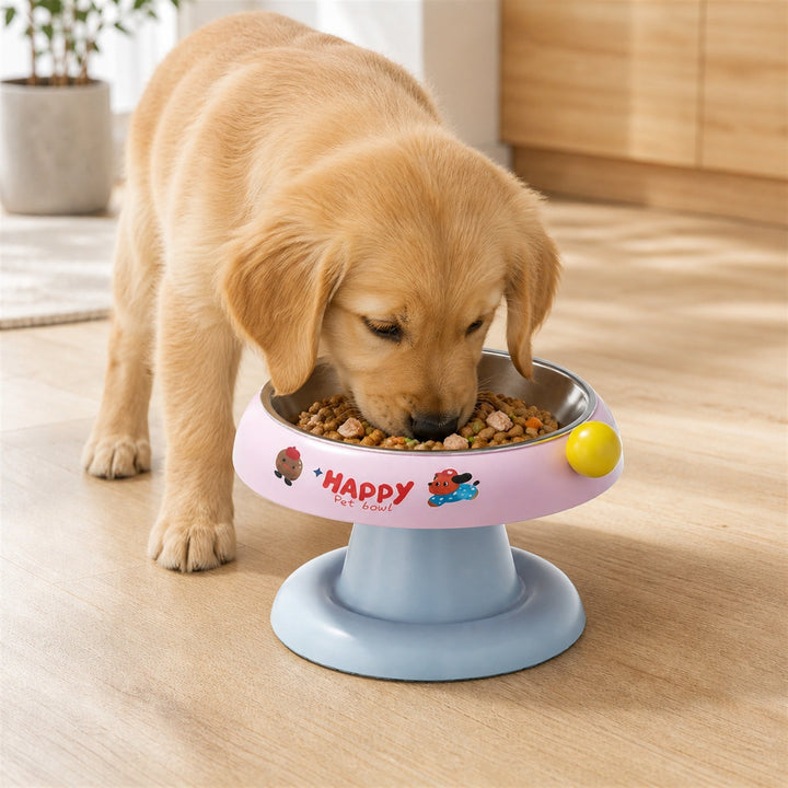 Elevated Stainless Steel Pet Bowl | Non-Slip Raised Feeder for Cats & Dogs