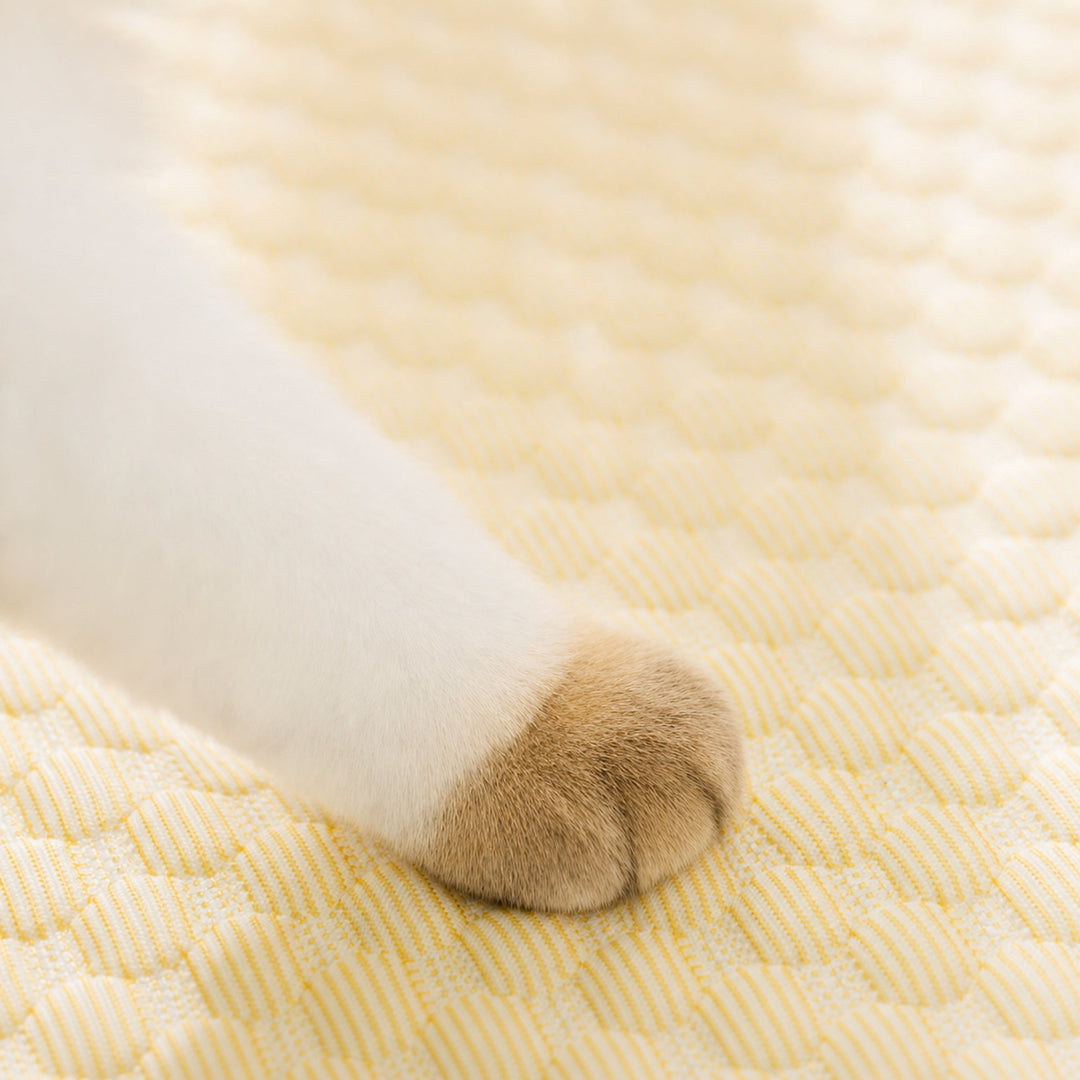 Dog Bed & Cat Bed | Question Mark Cooling Pet Mat | Breathable & Washable