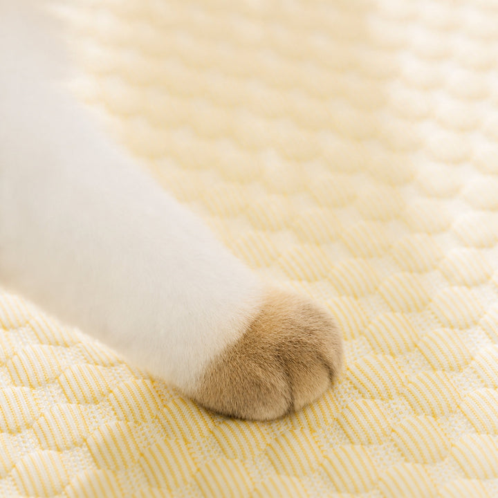 Dog Bed & Cat Bed | Question Mark Cooling Pet Mat | Breathable & Washable
