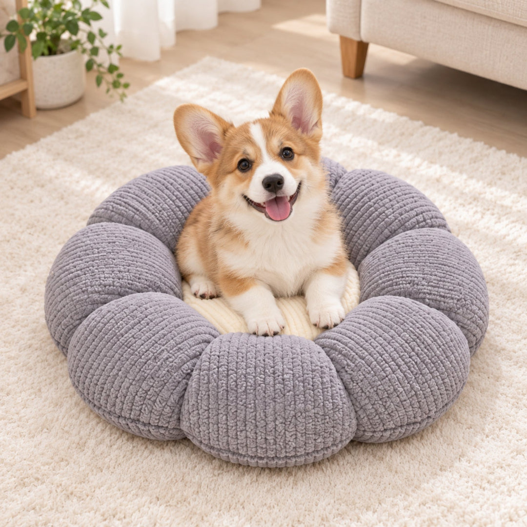 Cat Bed & Small Dog Bed | Flower Puff Pet Mat & Seat Cushion | Ribbed Plush