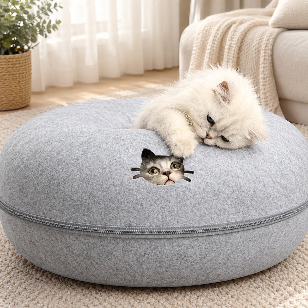 Donut Cat Bed | Felt Tunnel Hideaway with Removable Top