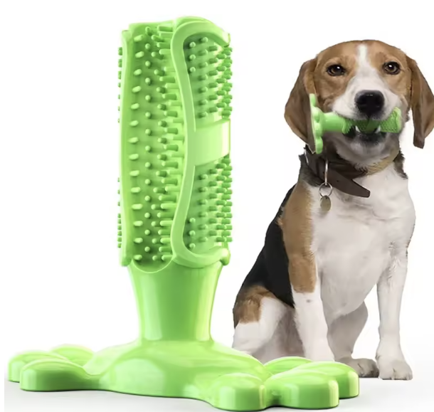 Cactus Dog Chew Toy | Rubber Treat Dispenser | Dental Toothbrush Toy for All Dogs