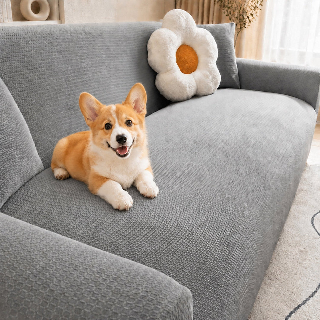 Water-Resistant Stretch Sofa Protector | Full-Wrap Anti-Scratch Cover