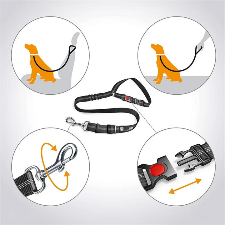 Dog Car Seat Belt