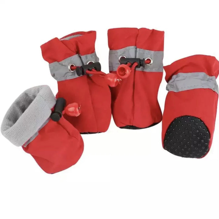 Winter Paw Protection – Paw Walks