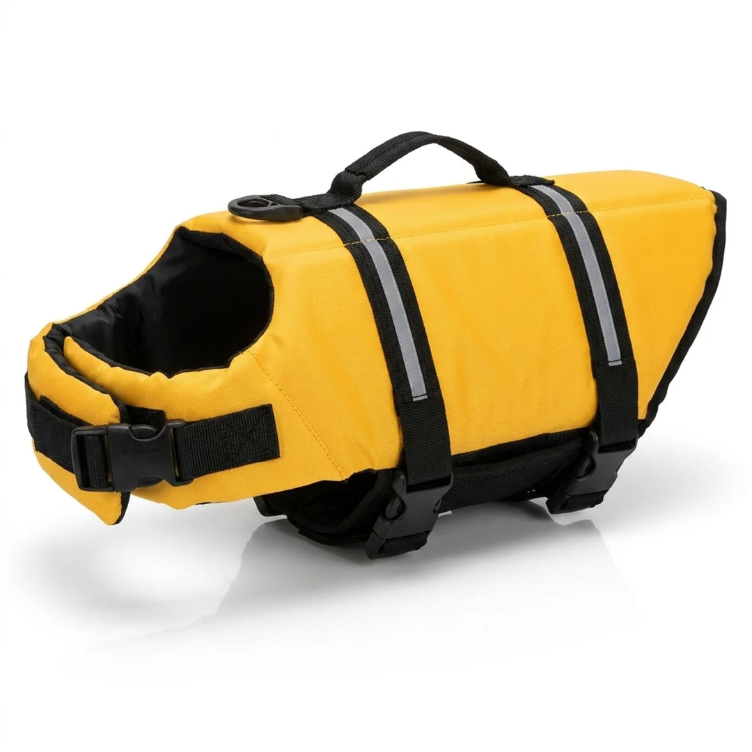 Dog Life Jacket Safety & Comfort for Water Adventures
