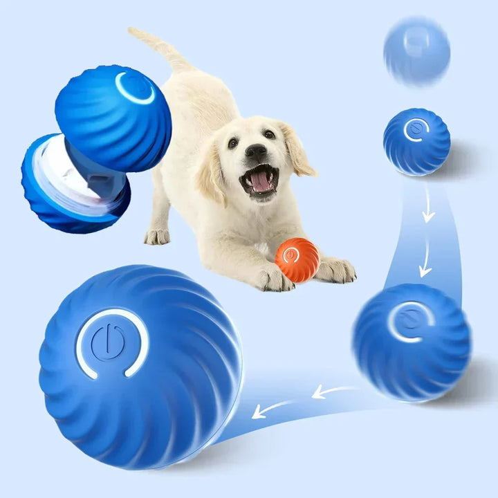 Automatic Interactive Dog Toy – RolliPlay
