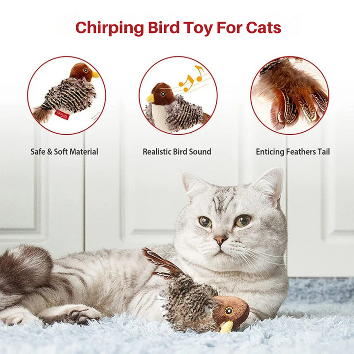 Chirping Bird Toy For Cats