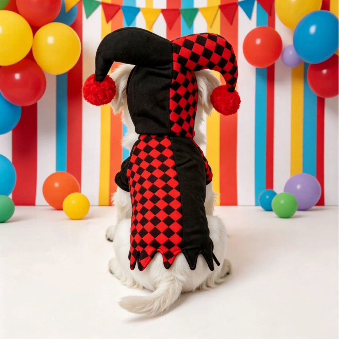 Jester Pet Costume | Red & Black Halloween Fancy Dress for Cats & Small Dogs