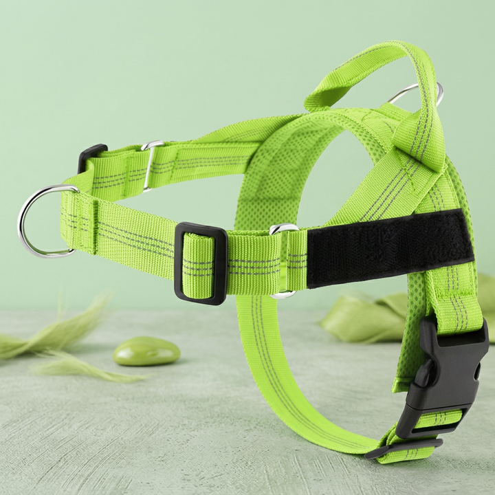 Personalized Reflective No-Pull Dog Harness with Custom Name Patch