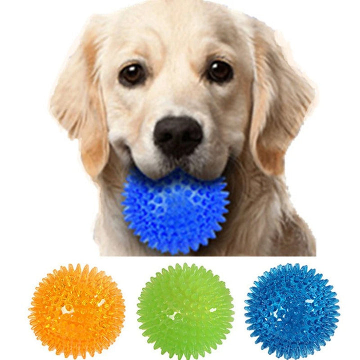 Chewing Toy Spike Balls Accessories