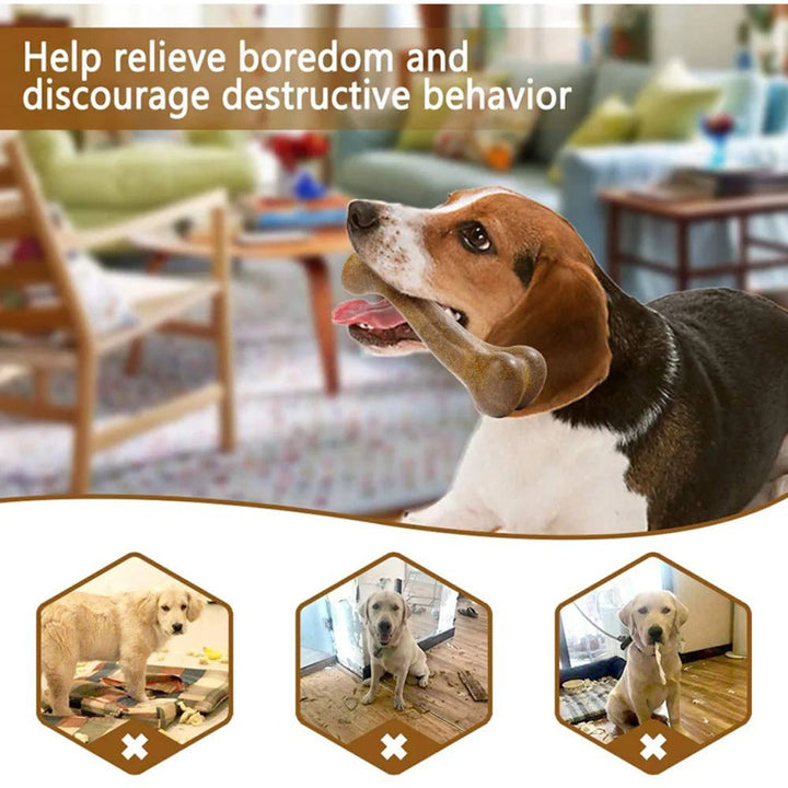 ChewBone – The Safe & Durable Chew Toy for Happy Dogs!