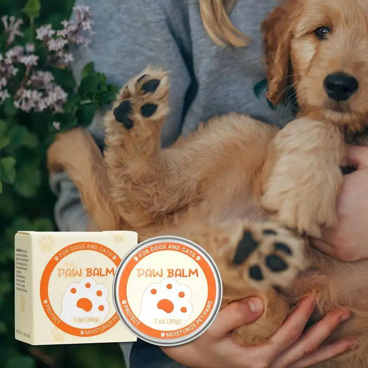 Paw Care Cream for Dogs & Cats