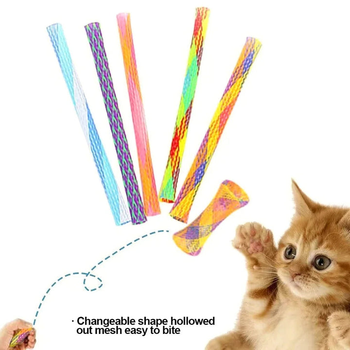 Spring Shape Multi-Color Cat Bouncing Kitten Toys