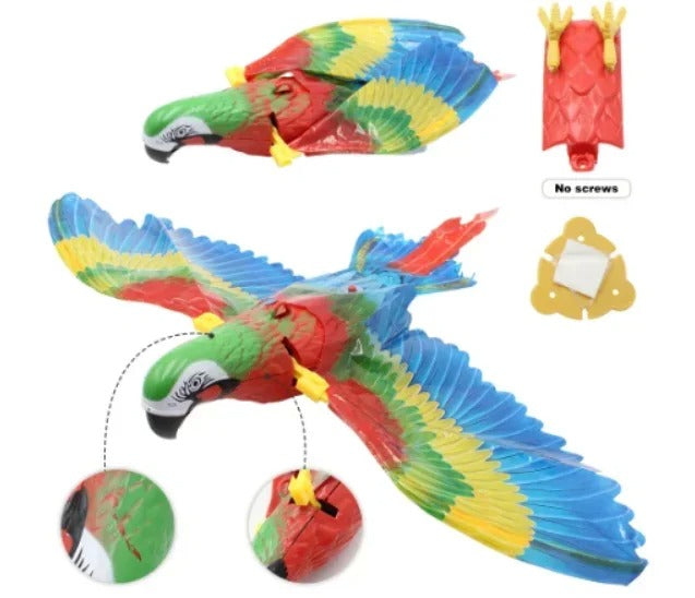 Eagle Flying Bird Cat Toy