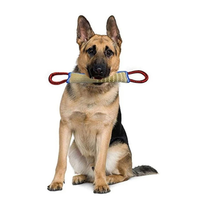 Chew Sticks & Chew Pads