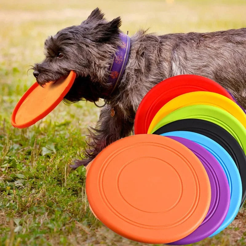 Flying Discs Dog Toy