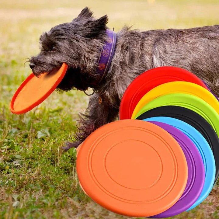 Flying Discs Dog Toy