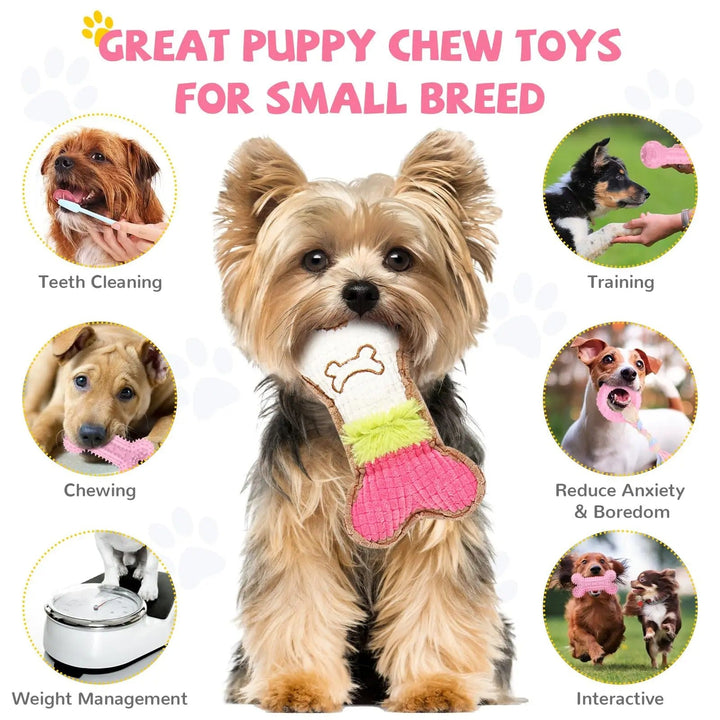 6pcs Set Puppy Bite Toys