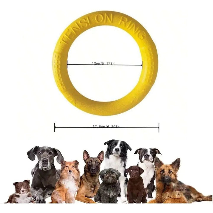 Flying Disc Training Ring Puller