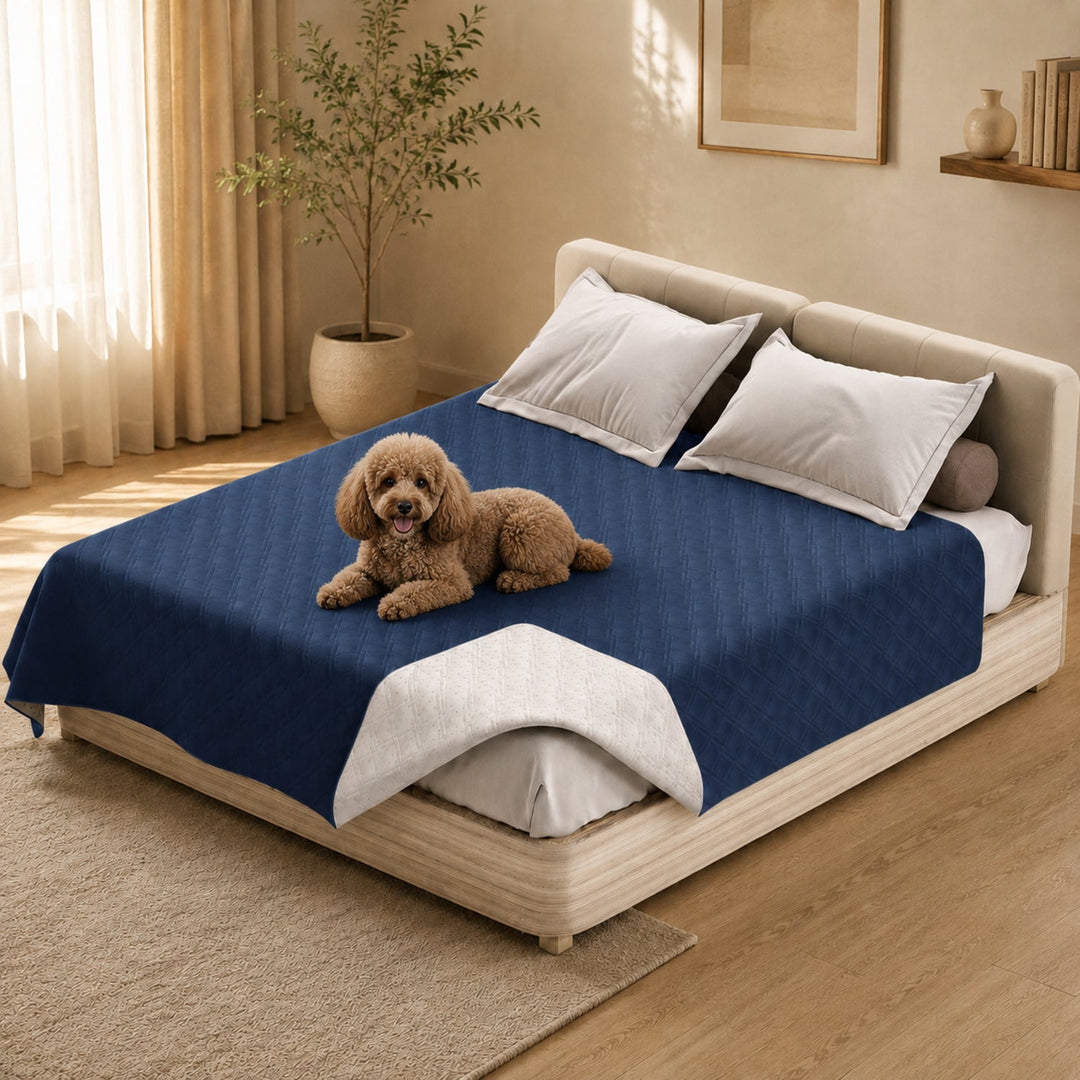 Water-Repellent Pet Blanket | Washable Mattress & Sofa Protector