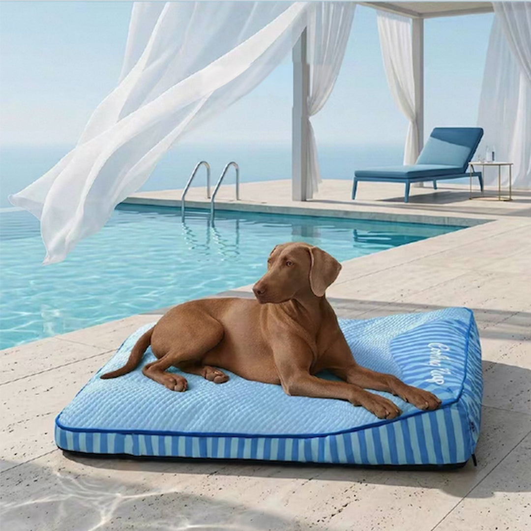 Cooling Orthopedic Dog Bed | Ice Silk Summer Bed | Memory Foam Joint Support | Washable Cover | Non-Slip | for Senior Dogs