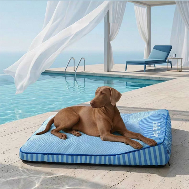 Cooling Orthopedic Dog Bed | Ice Silk Summer Bed | Memory Foam Joint Support | Washable Cover | Non-Slip | for Senior Dogs